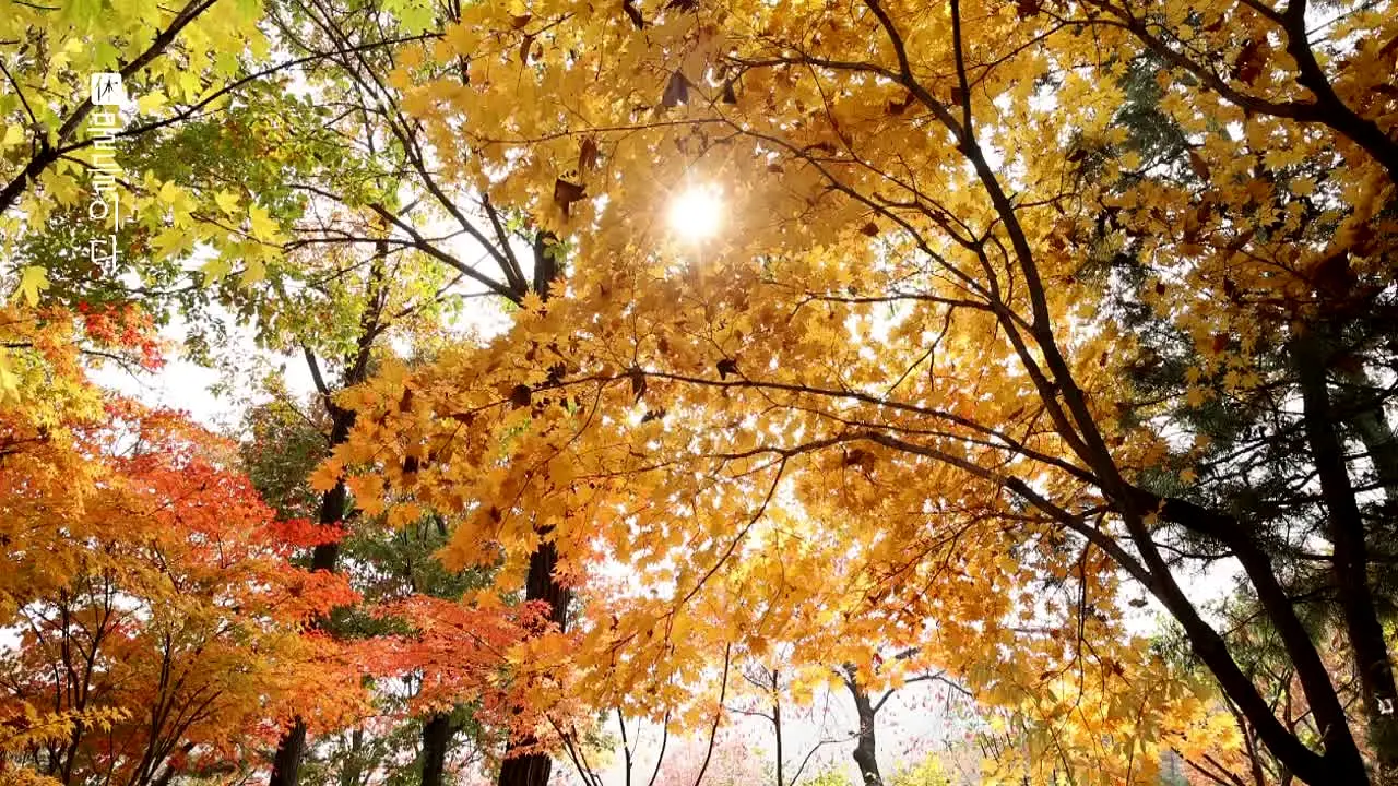 TravelON en direct