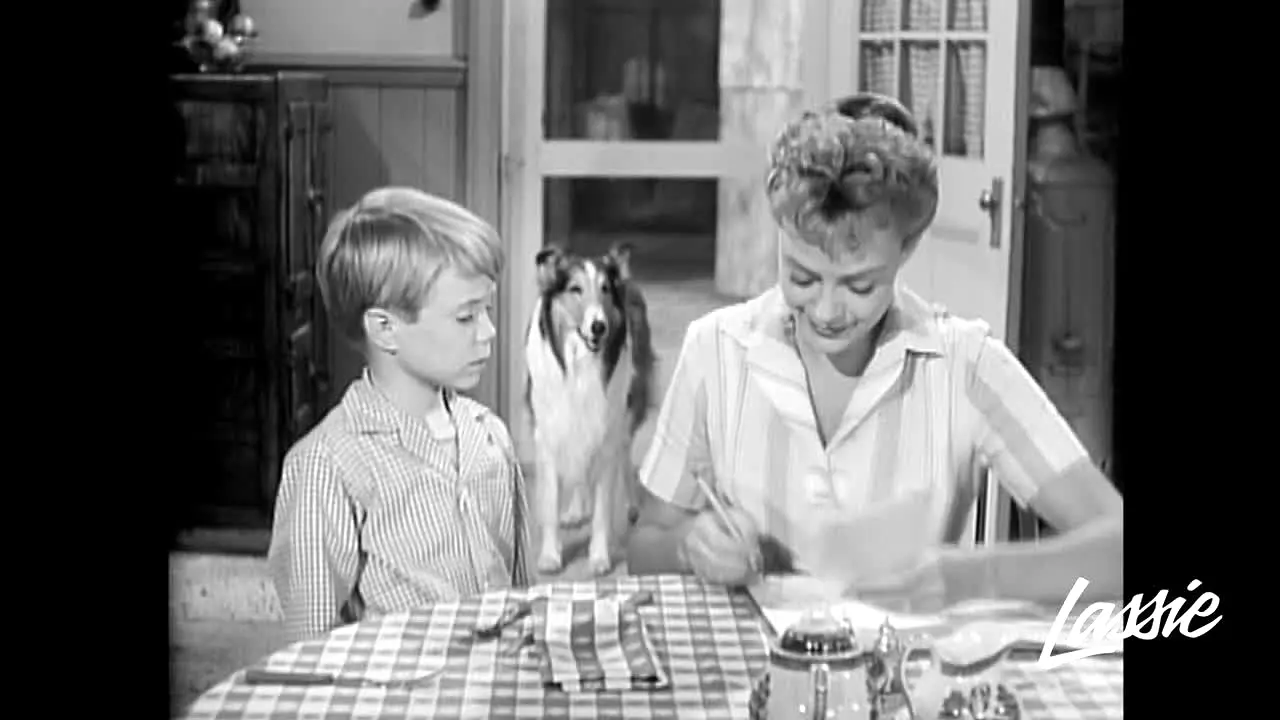 Lassie live