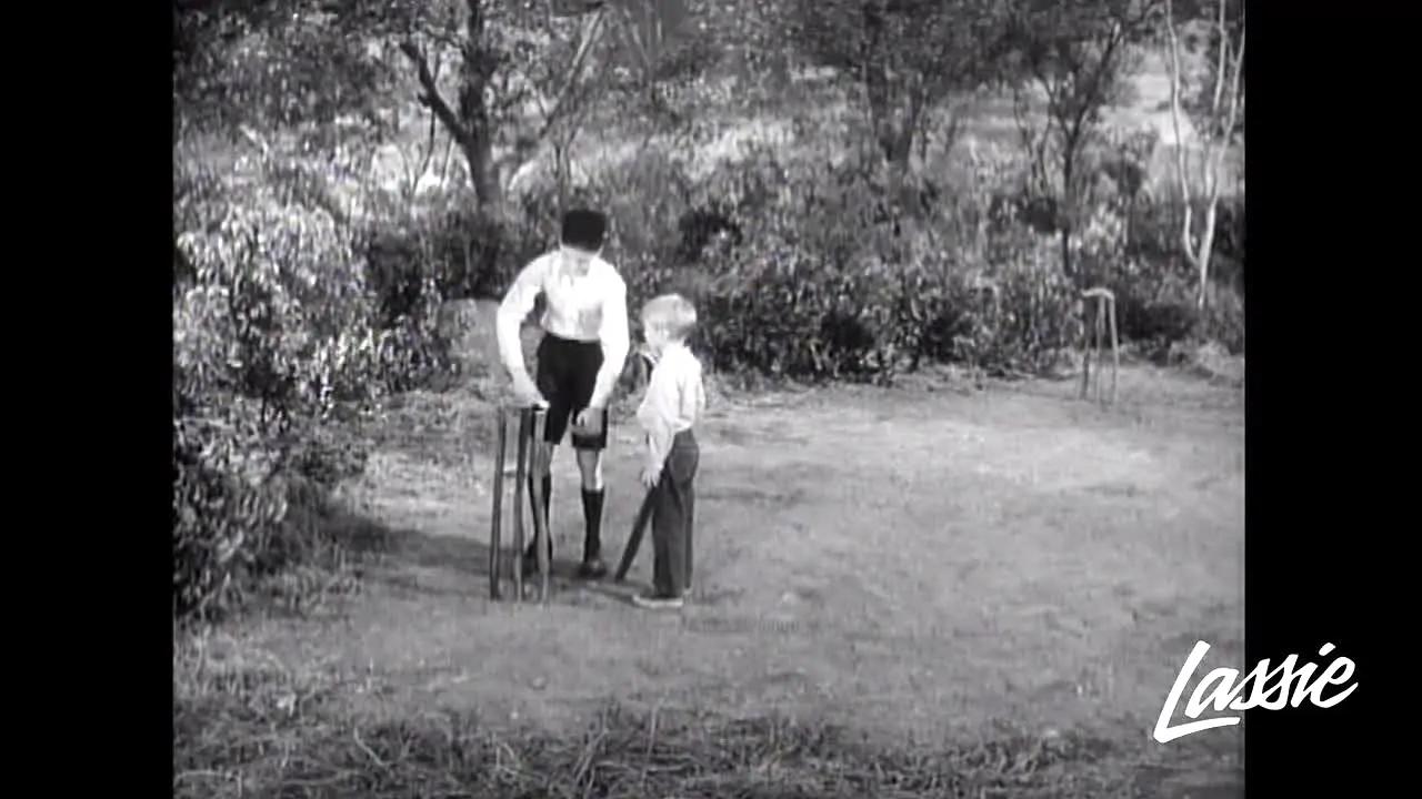 Lassie in diretta