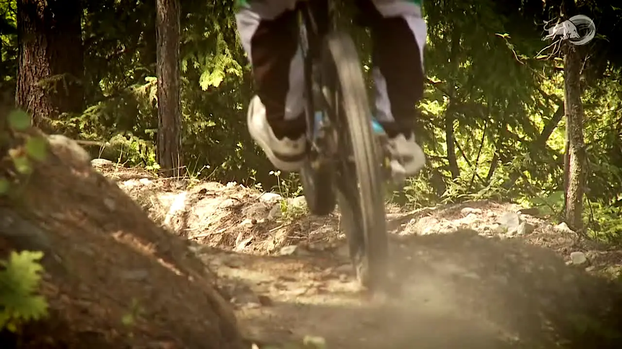Red Bull TV in diretta
