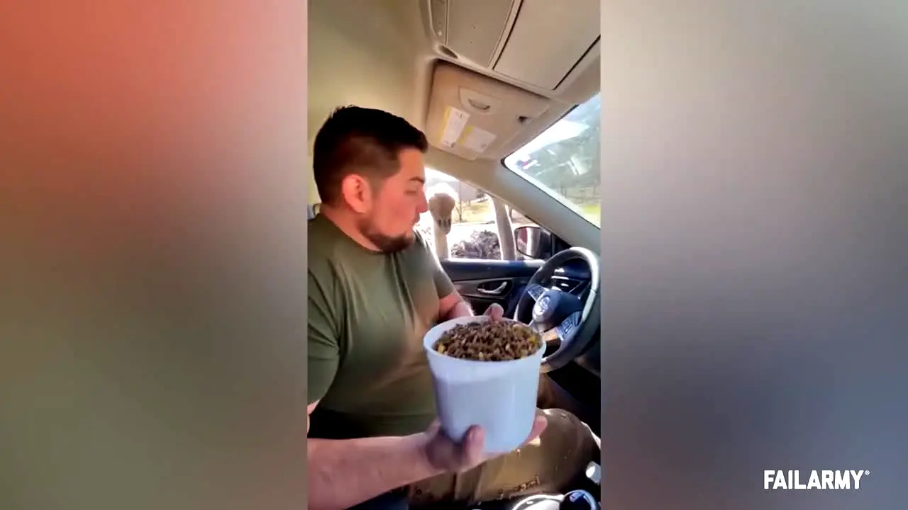 FailArmy in diretta