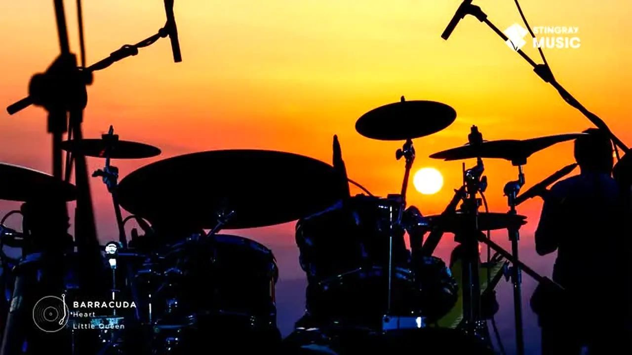 Stingray Classic Rock live