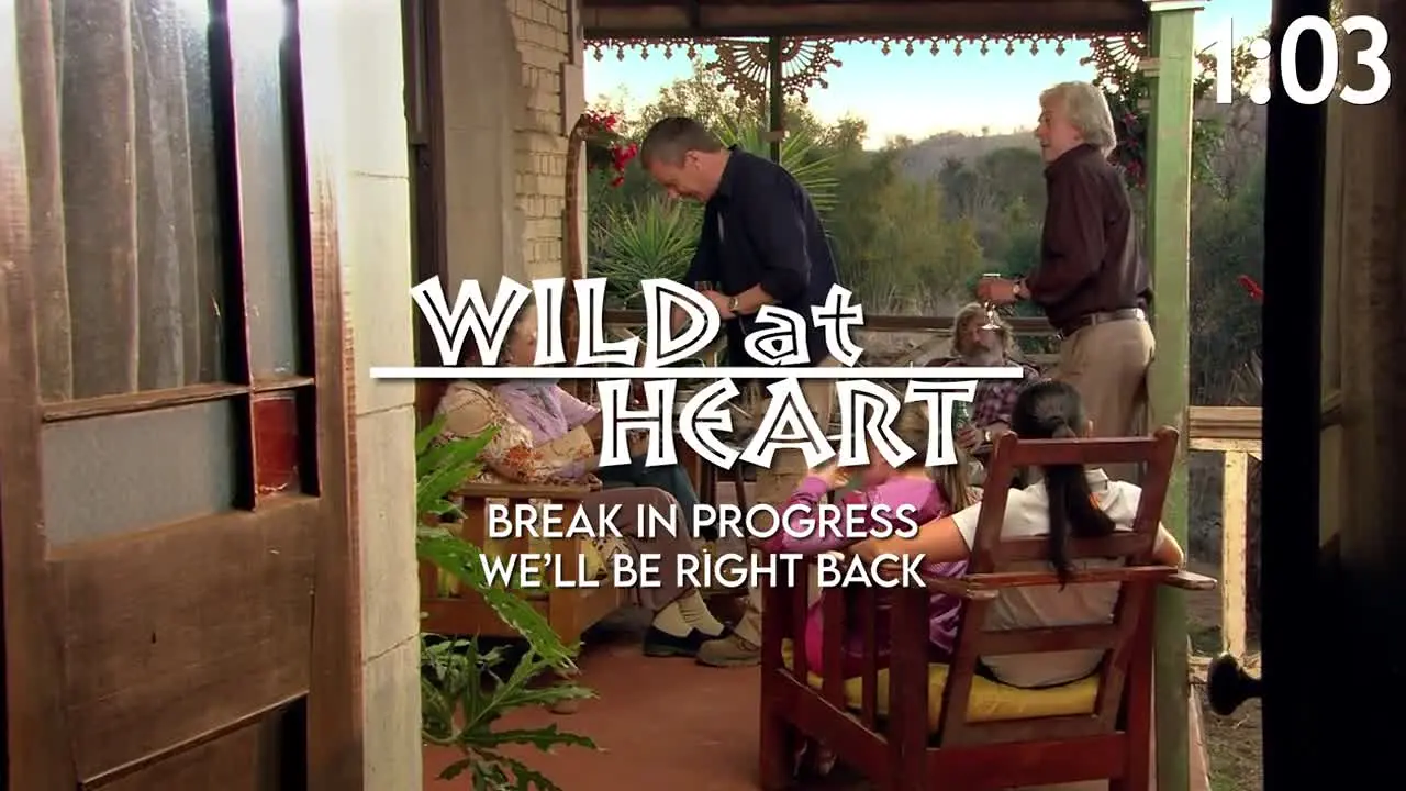 Wild At Heart live