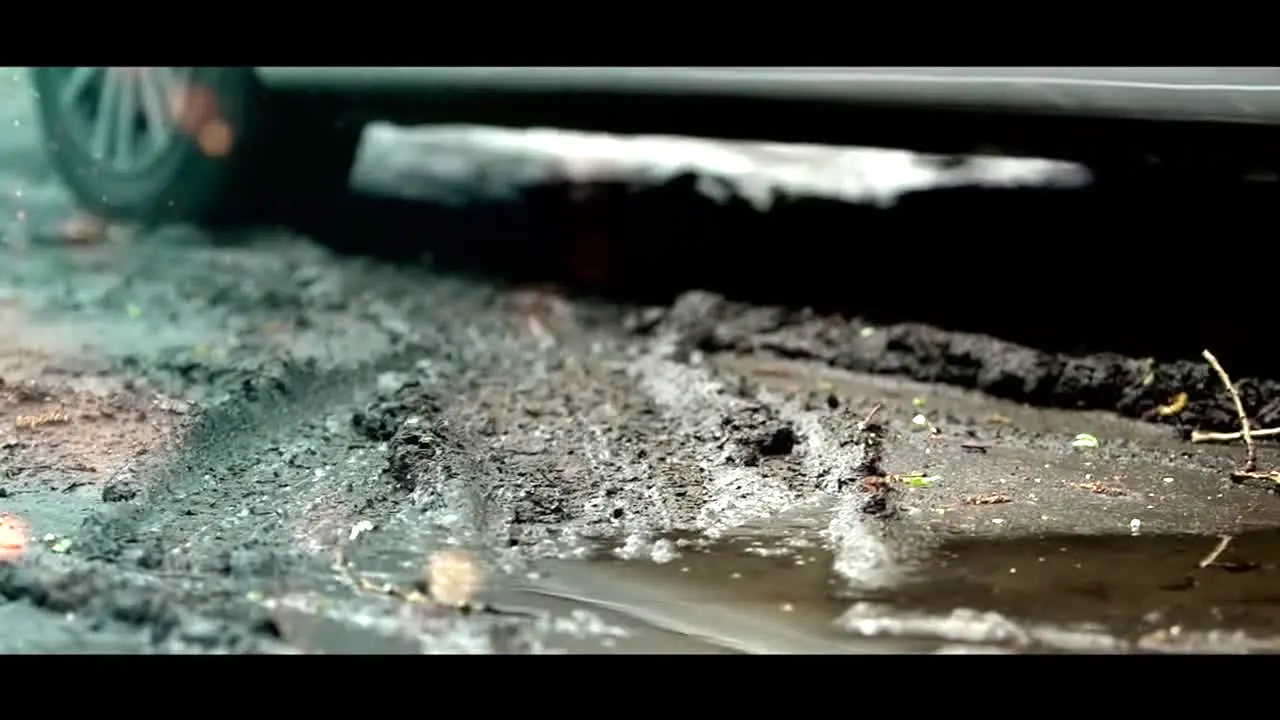 Crime Scene TV live