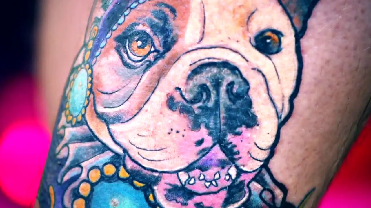 Tattoo Fixers ao vivo