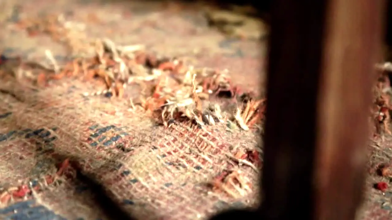 Obsessive Compulsive Cleaners en direct