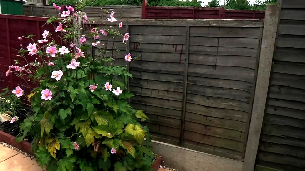 Homes Under the Hammer in diretta