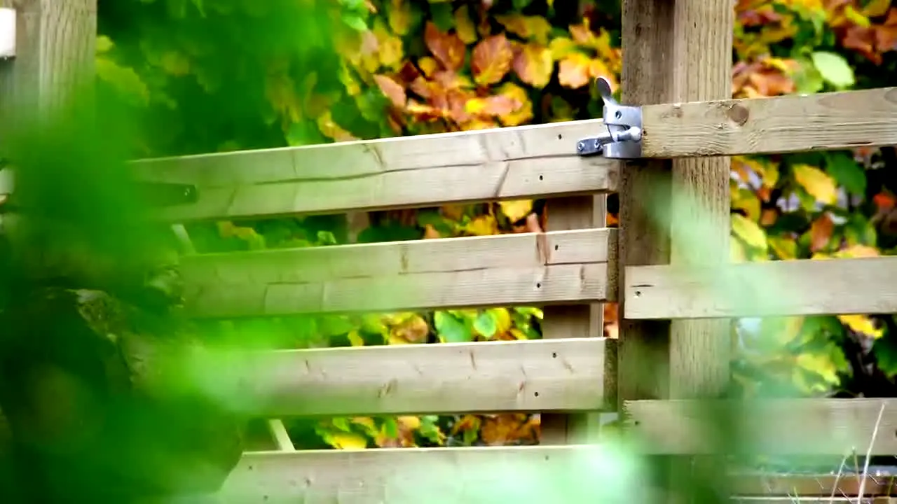Garden Rescue en direct