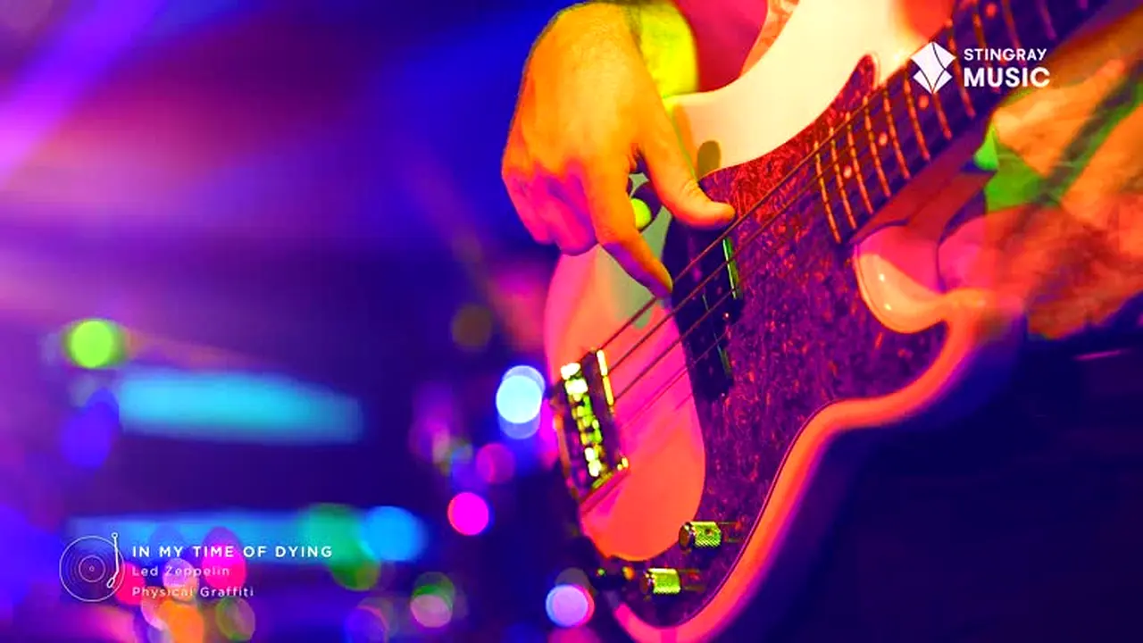 Stingray Classic Rock live