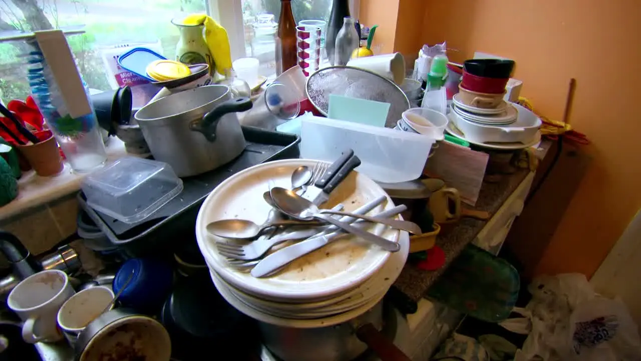 Obsessive Compulsive Cleaners ao vivo