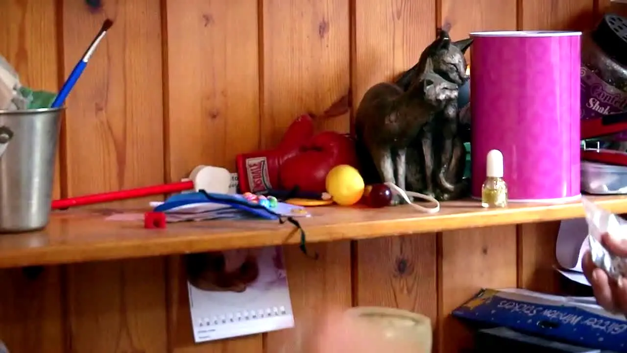 Obsessive Compulsive Cleaners en direct