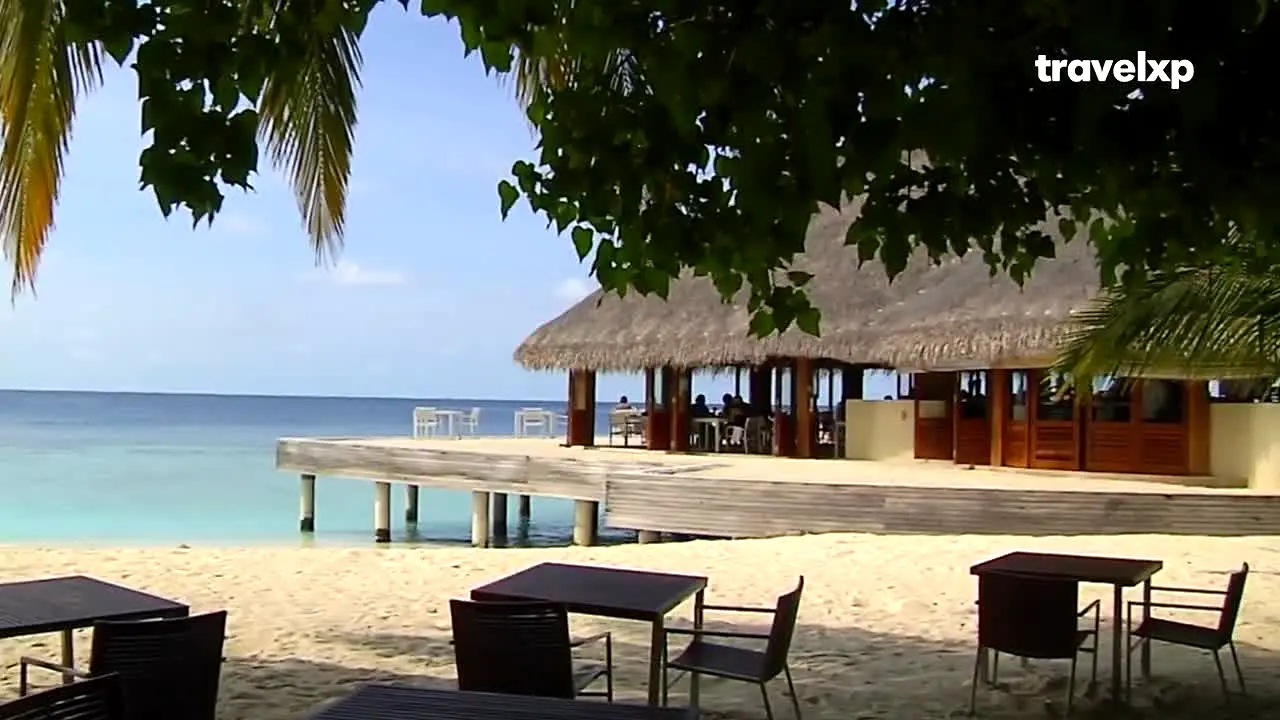 Travelxp live
