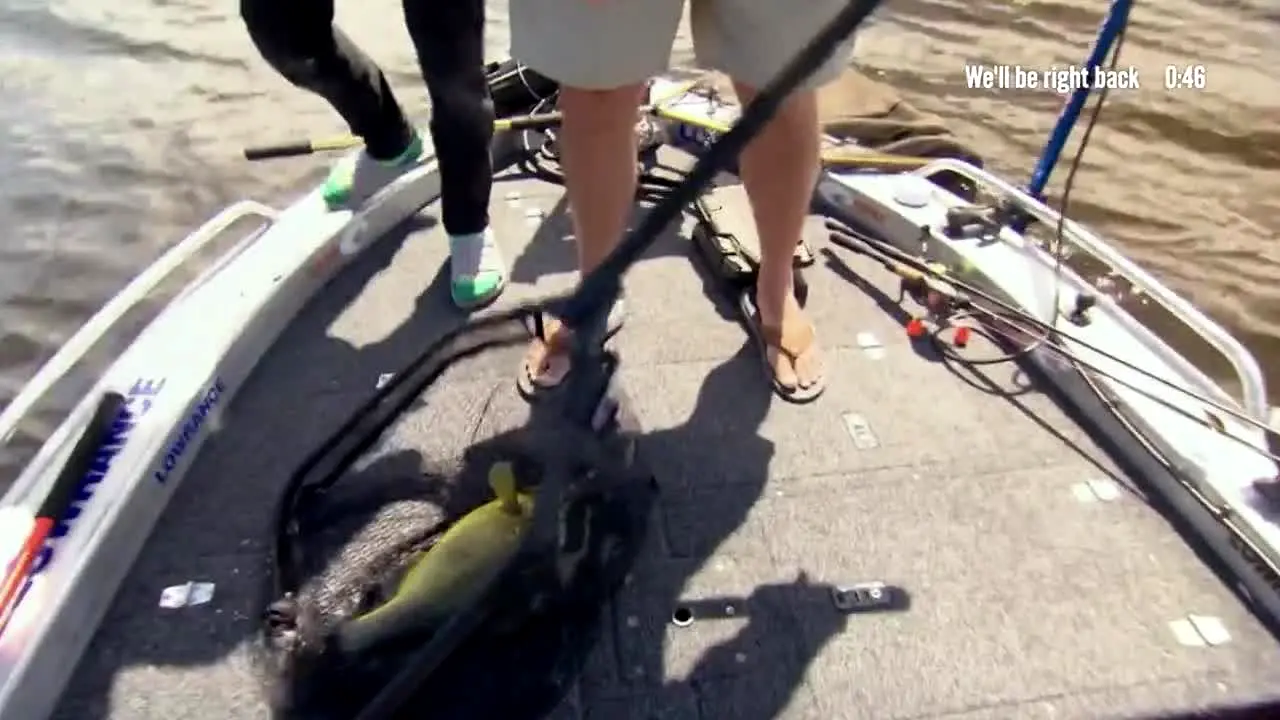 Hooked live