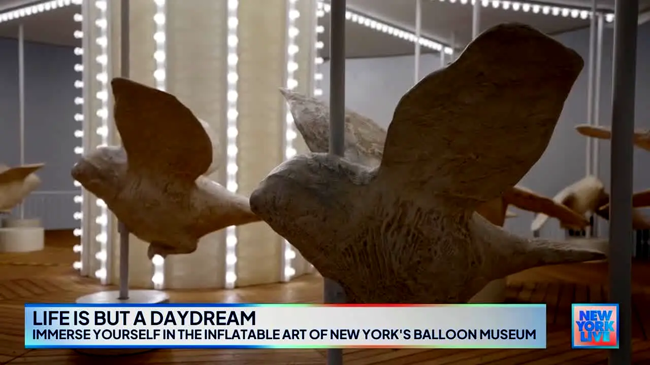 NBC 4 New York News live
