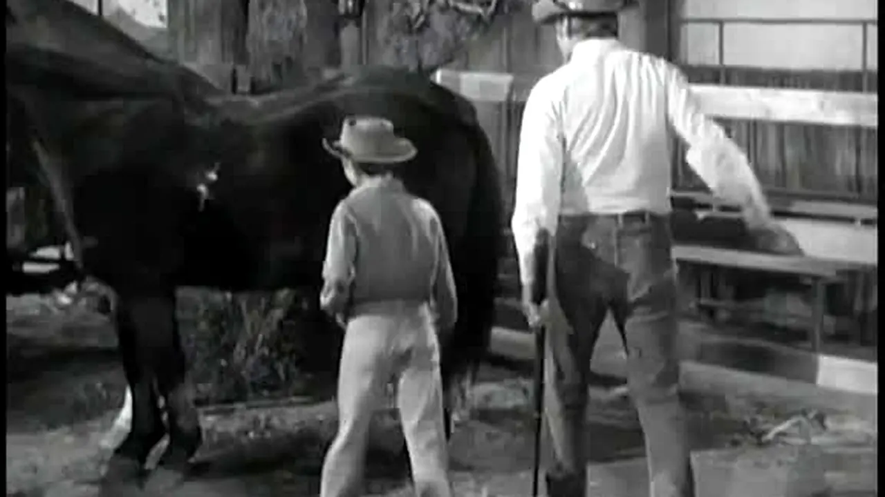 The Rifleman live