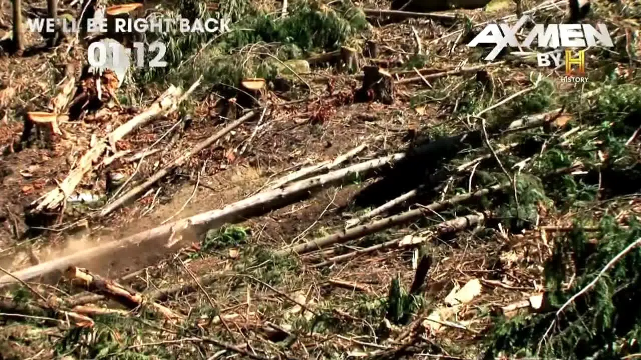 Ax Men live