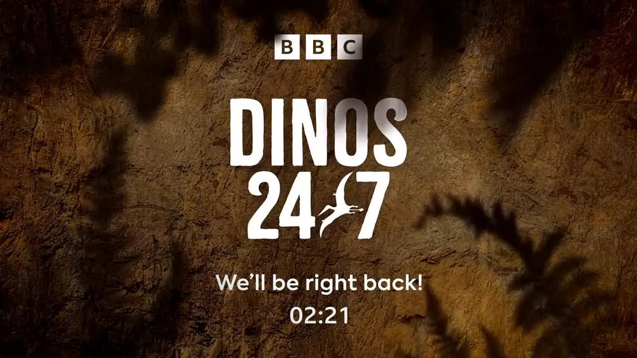 Dinos 24/7 na żywo