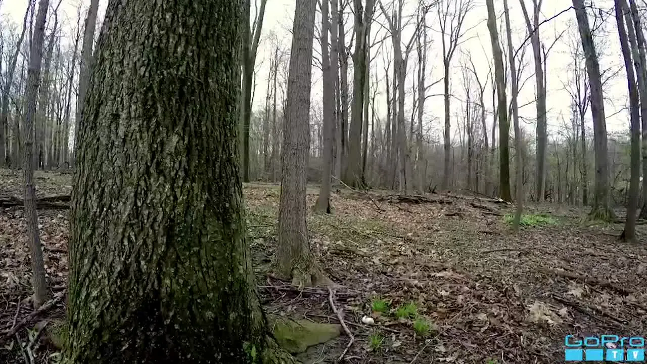 GoProTV — прямой эфир