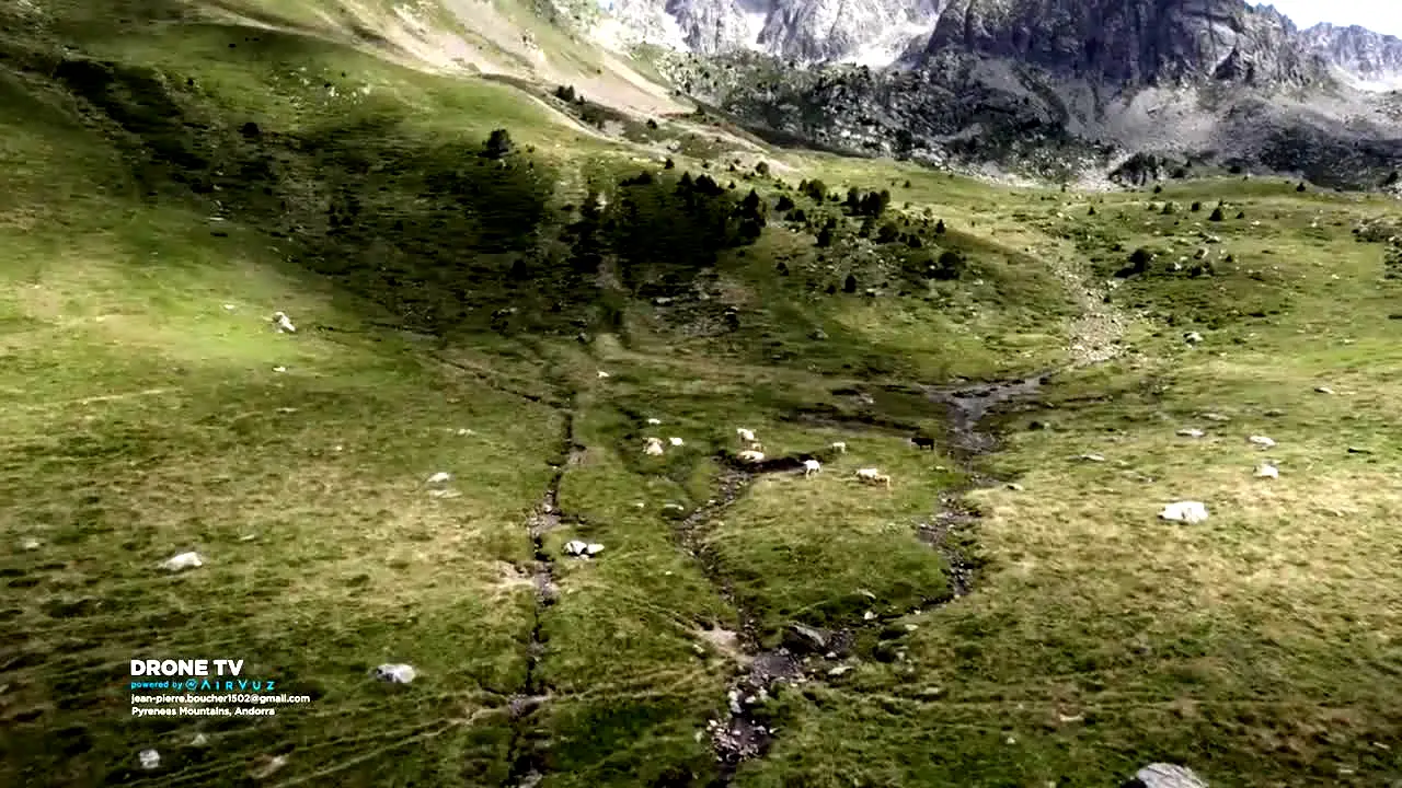Drone TV live
