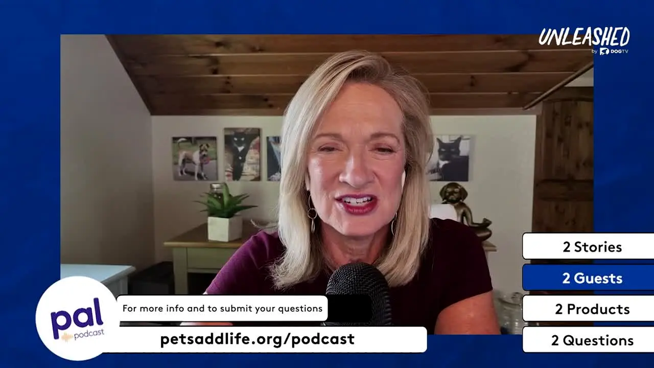 Unleashed by DOGTV live