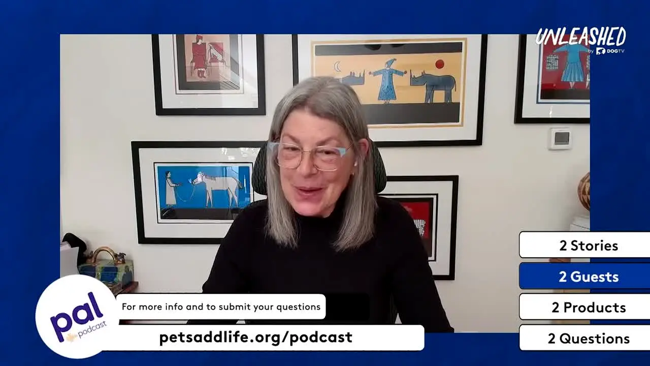 Unleashed by DOGTV live