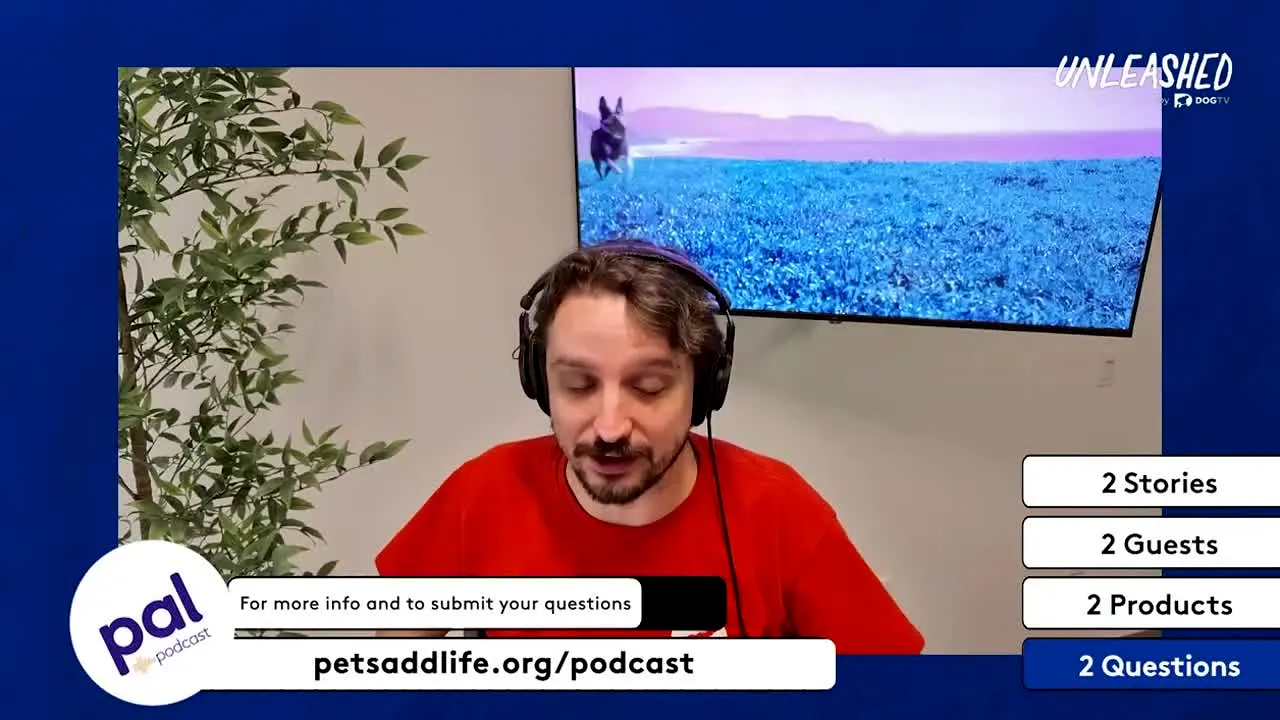 Unleashed by DOGTV live
