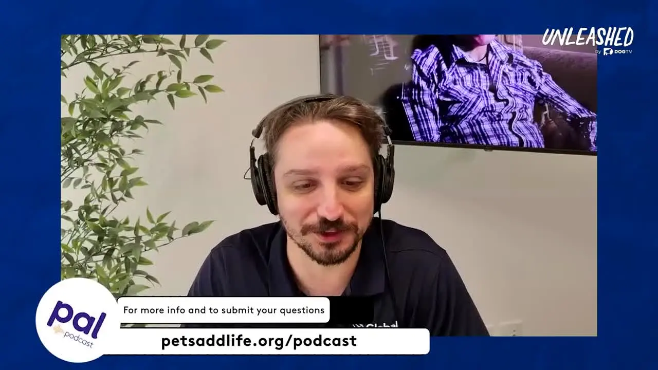 Unleashed by DOGTV live