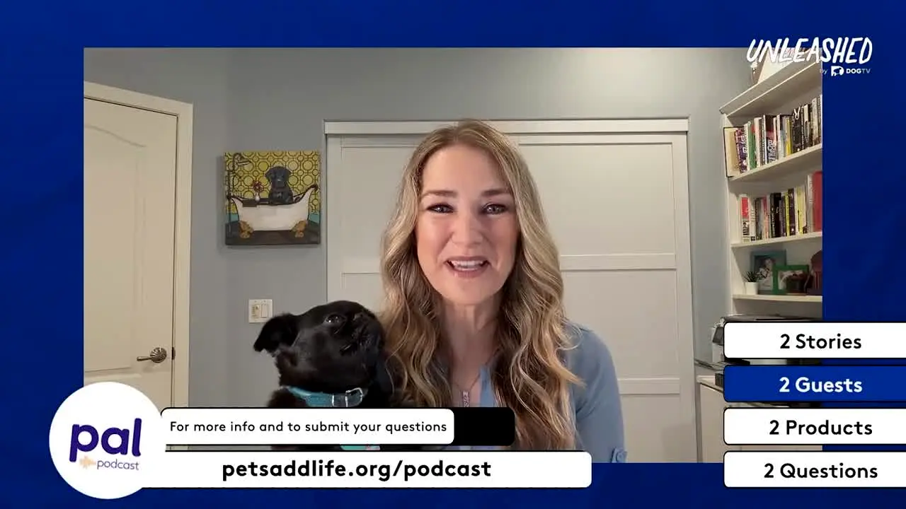 Unleashed by DOGTV live
