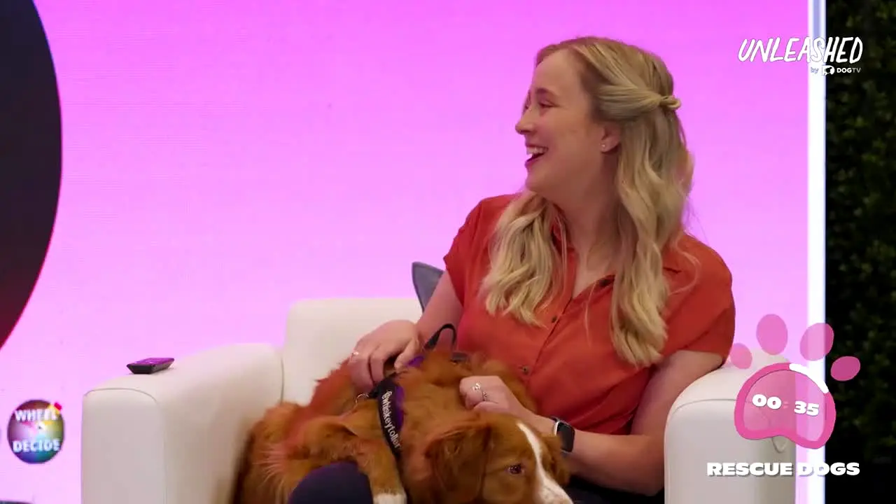 Unleashed by DOGTV live