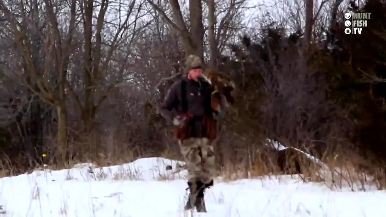 Hunt Fish TV live