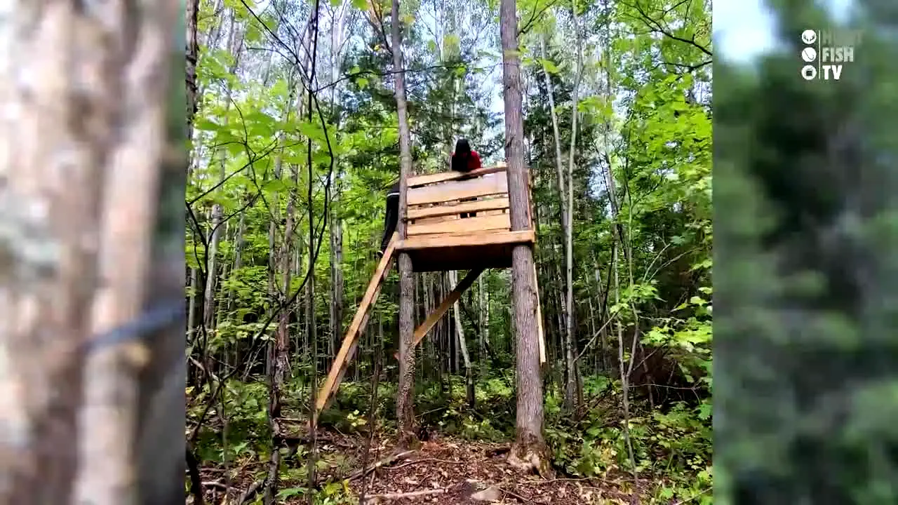 Hunt Fish TV live