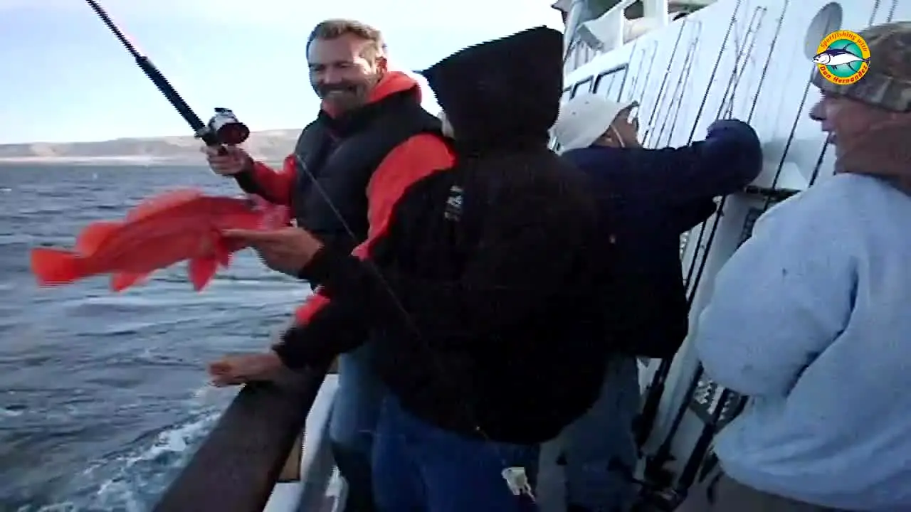 Sport Fishing TV live