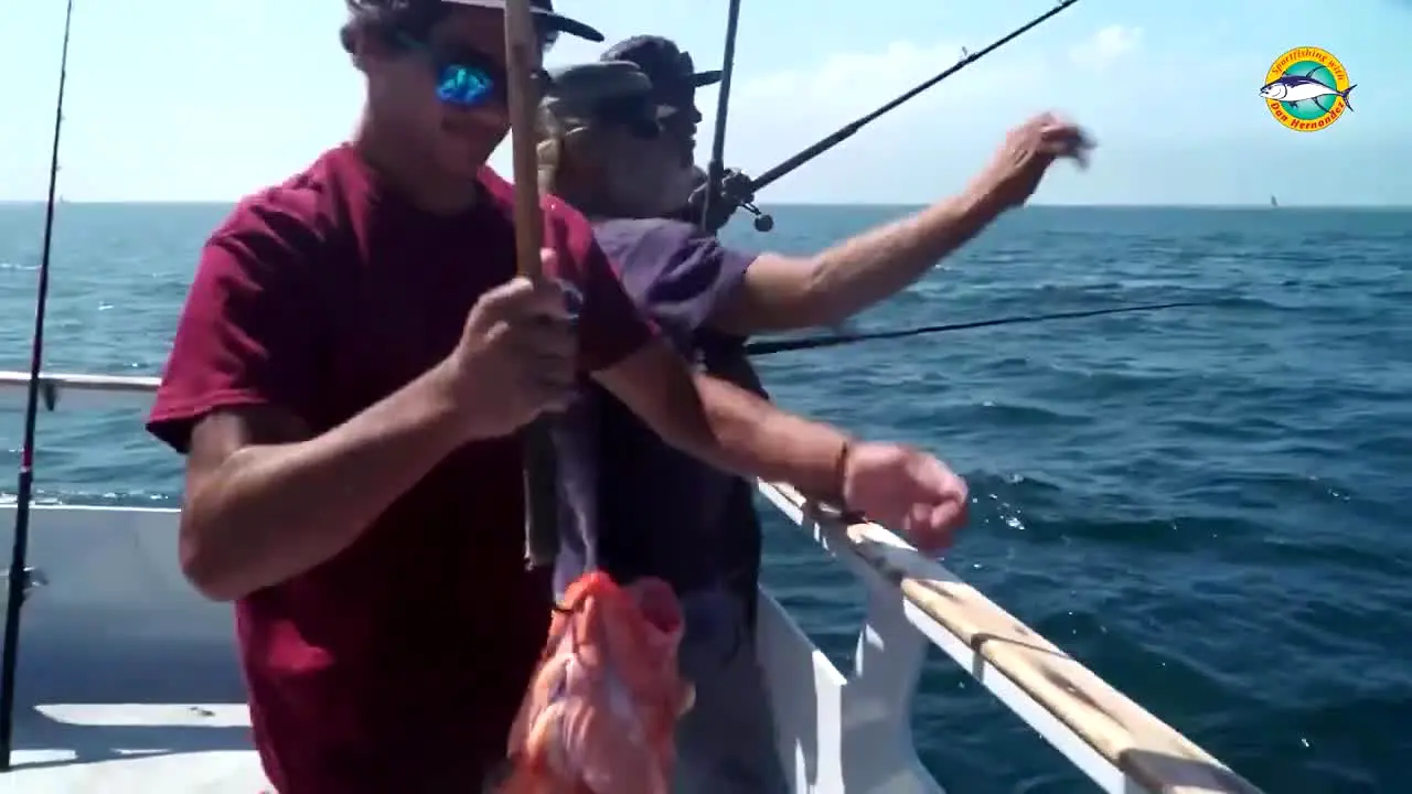 Sport Fishing TV live