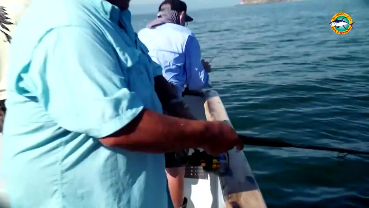 Sport Fishing TV live