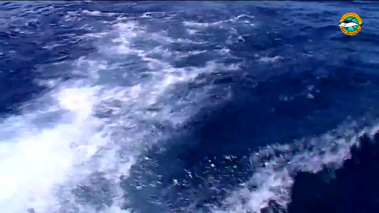 Sport Fishing TV live