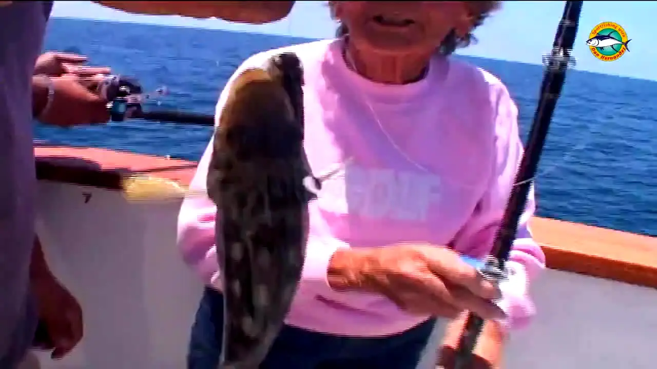 Sport Fishing TV live