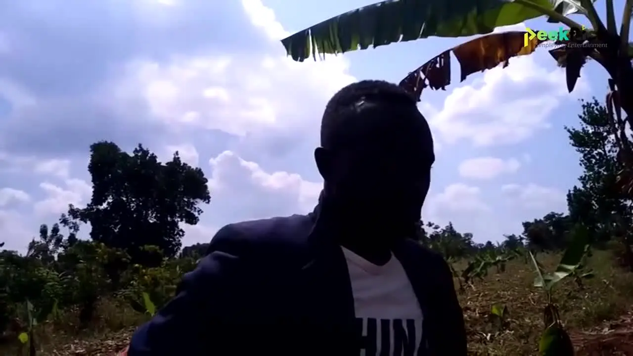 Peekflick live