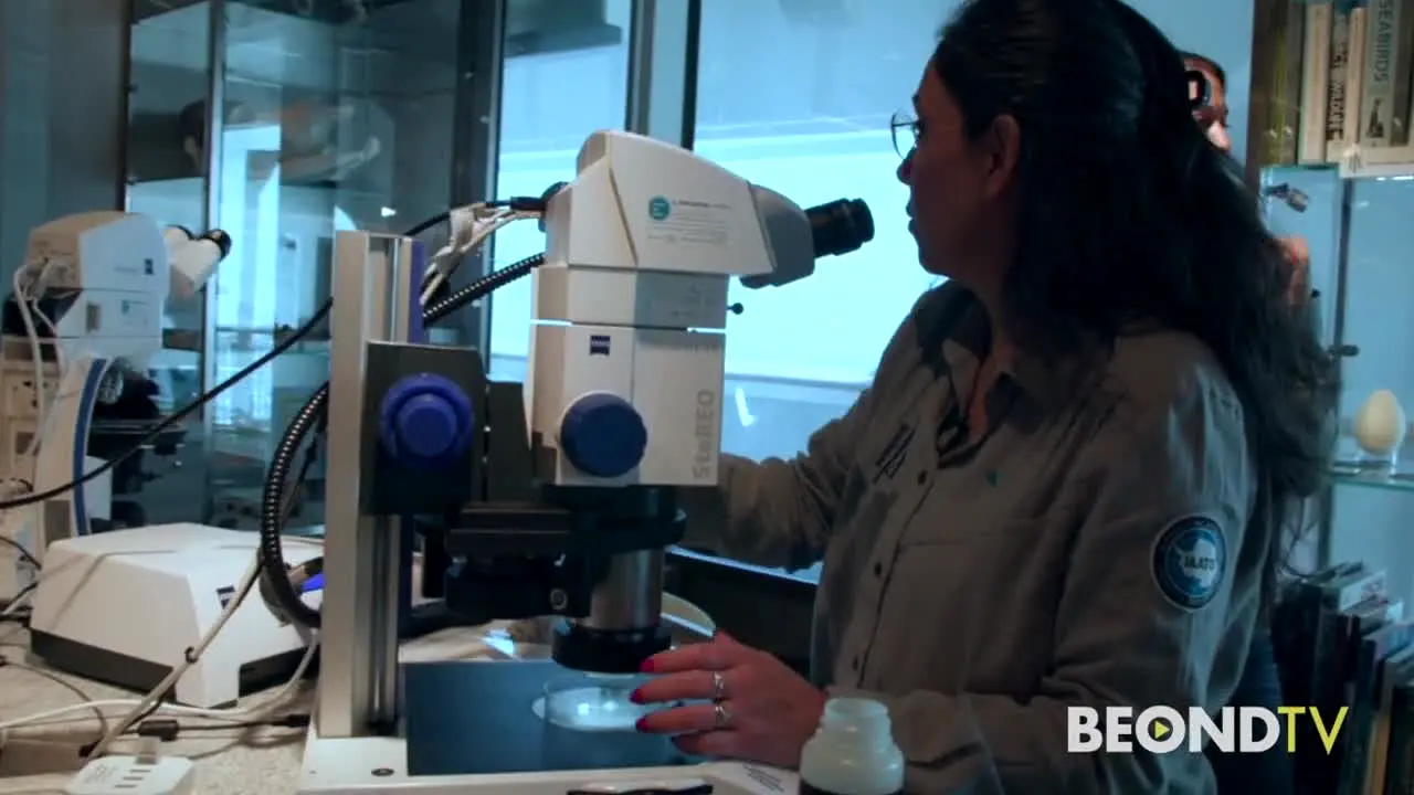 BEONDTV live