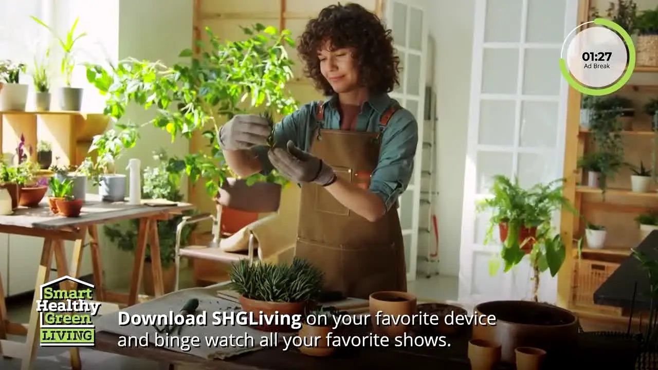 Smart Healthy Green Living live