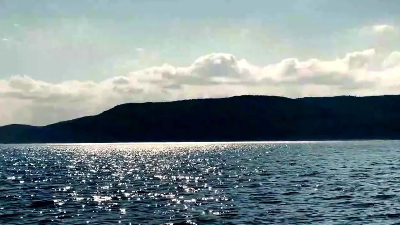 NOMADLife.TV live