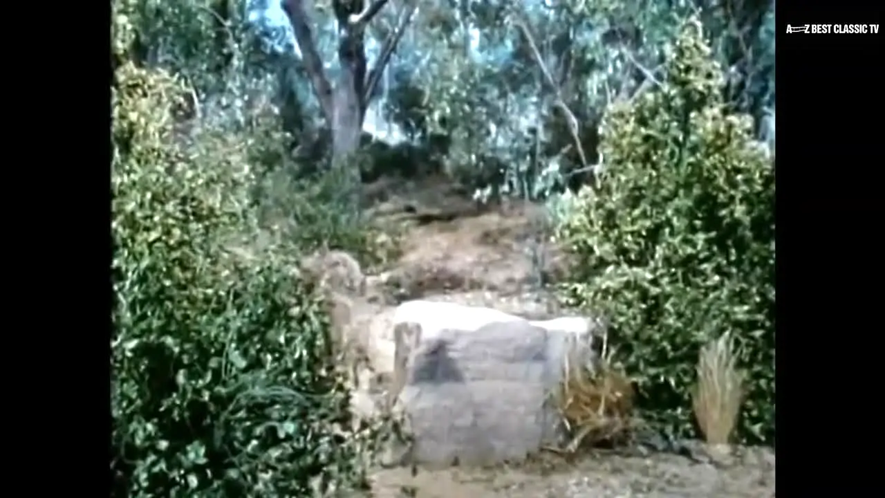 a-z Best Classic TV live