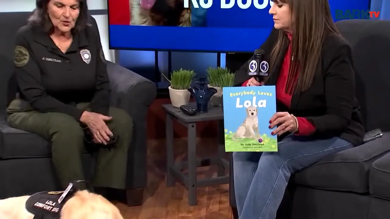 Bark TV live