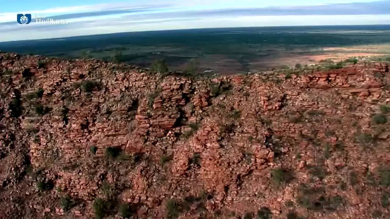 Love The Planet live