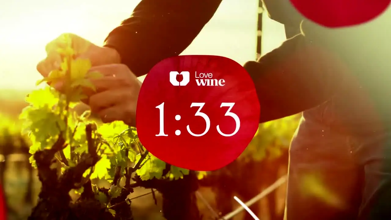 Love Wine live