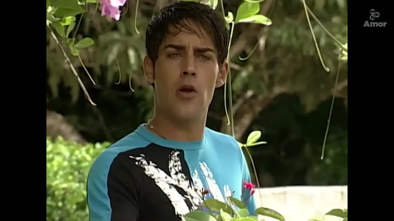 wedotv Amor live