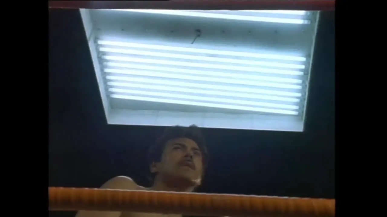 Pelimex ao vivo