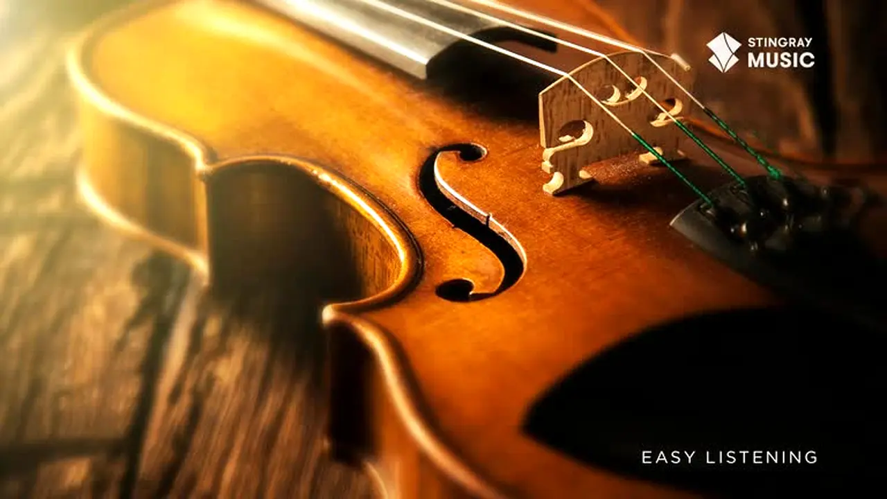 Stingray Easy Listening live