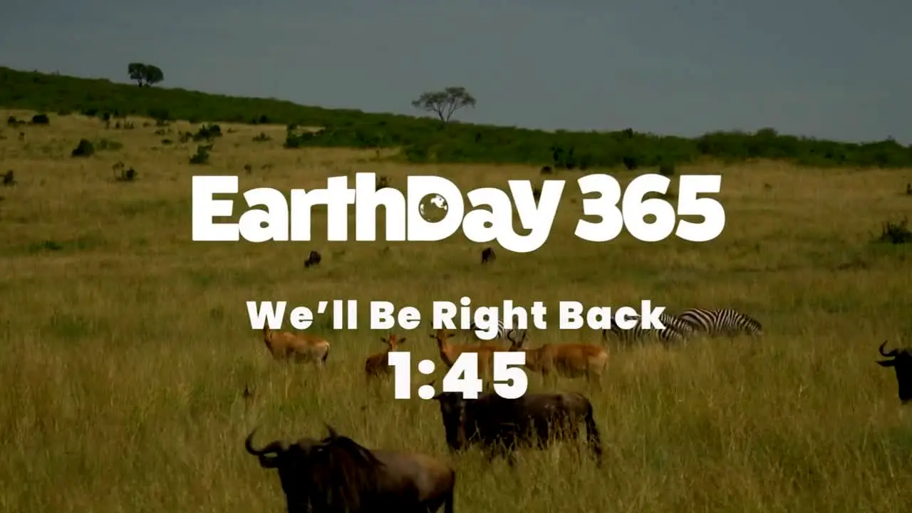 Earth Day 365 live