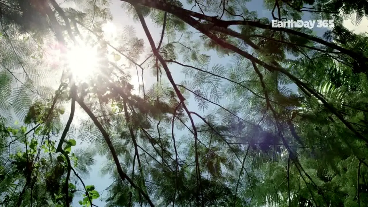 Earth Day 365 live