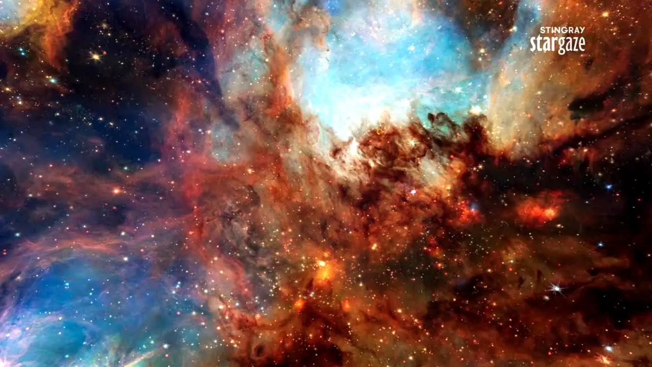 Stingray Stargaze live